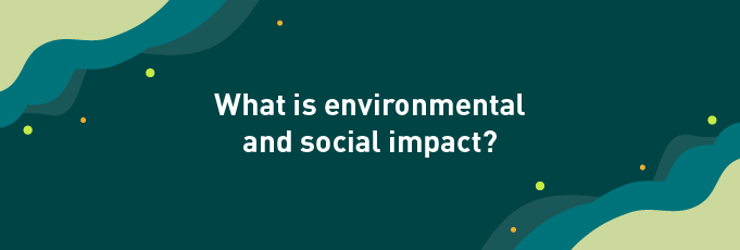 3463 what is environmental and social impact